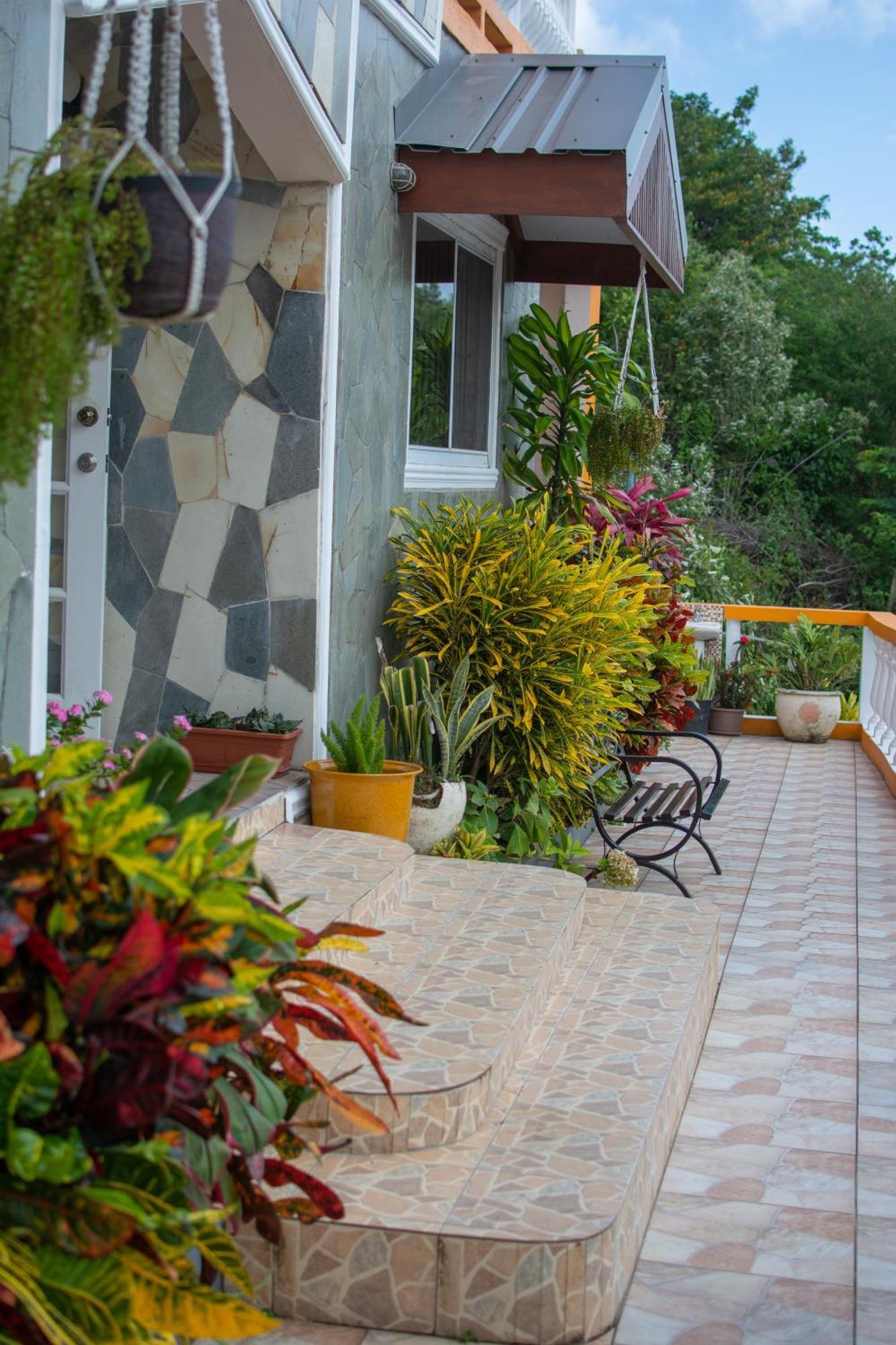 Mountain View Apartments Gros Islet Eksteriør billede